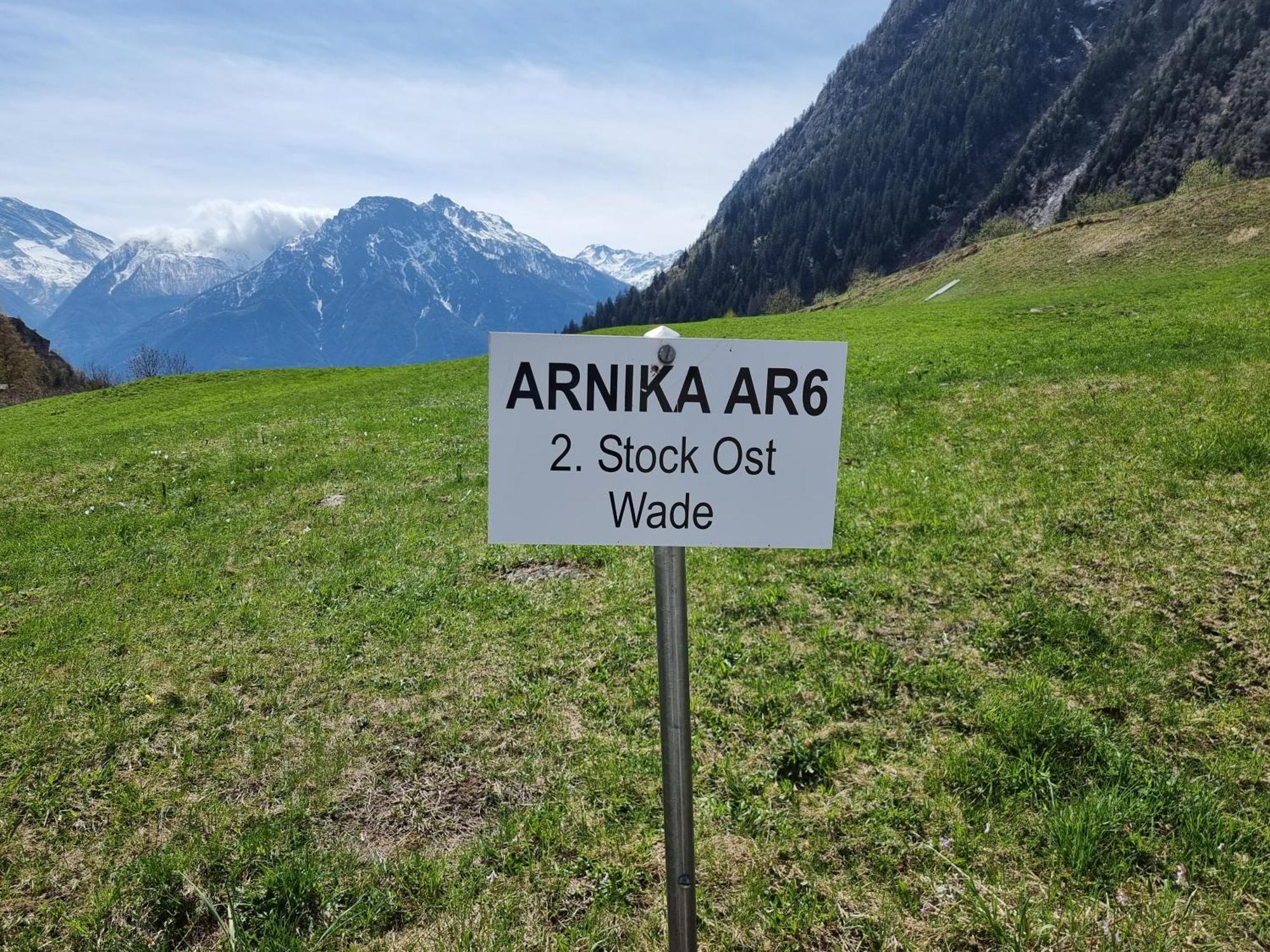 Ferienwohnung Arnika Blatten bei Naters Zimmer foto